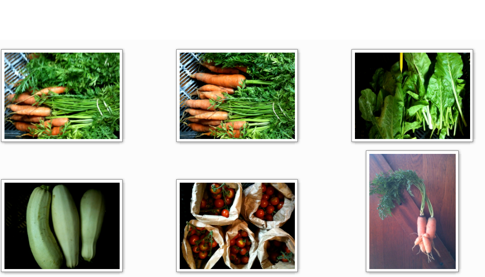 légumes bio > paniers sur commande 